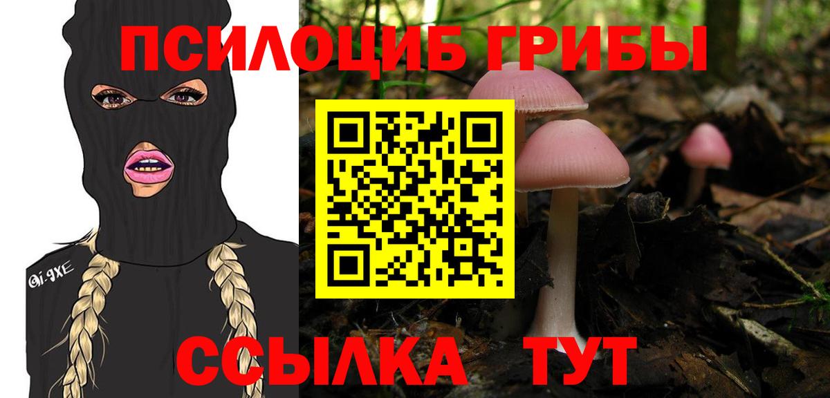 Галлюциногенные грибы GOLDEN TEACHER Азнакаево